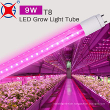 Wholesale Full Spectrum T8 LED Tube Grow Plant Light for Fruit and Vegetable